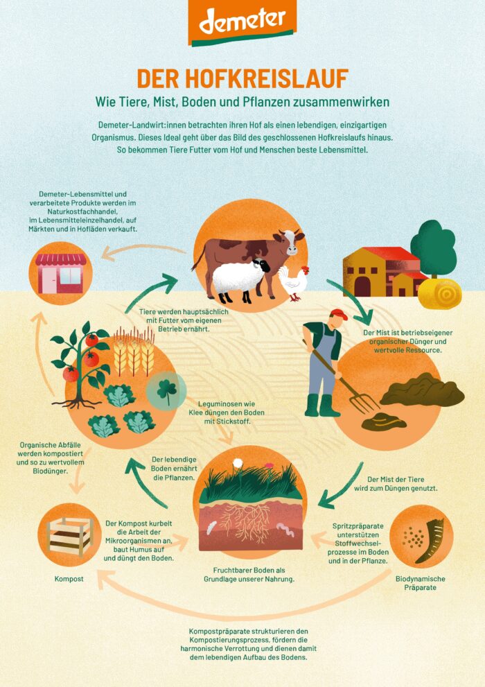 F&uuml;r Demeter hat die Berliner Illustratorin Inga Israel zum Geburtstag des 100 J&auml;hrigen Bestehen der biodynamischen Landwirtschaft in Zusammmenarbeit mit Yool Infografik-Plakate illustriert: Zu sehen ist der Hofkreislauf und wie Tiere, Mist, Boden und Pflanzen zusammenwirken.