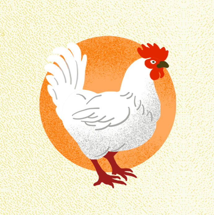 F&uuml;r Demeter hat die Berliner Illustratorin Inga Israel zum Geburtstag des 100 J&auml;hrigen Bestehen der biodynamischen Landwirtschaft in Zusammmenarbeit mit Yool Infografik-Plakate illustriert: Zu sehen ist ein Huhn.