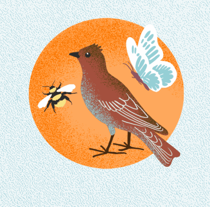 F&uuml;r Demeter hat die Berliner Illustratorin Inga Israel zum Geburtstag des 100 J&auml;hrigen Bestehen der biodynamischen Landwirtschaft in Zusammmenarbeit mit Yool Infografik-Plakate illustriert: Zu sehen ist ein Vogel, eine Biene und ein Schmetterling.